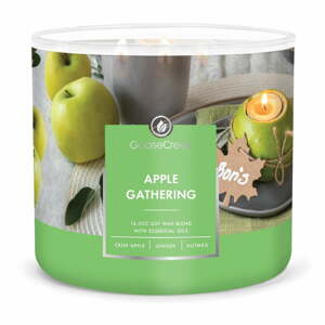 Illatos szójaviasz gyertya égési idő 35 ó Apple Gathering – Goose Creek