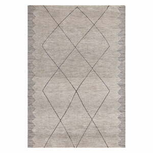 Világosszürke szőnyeg 200x290 cm Mason – Asiatic Carpets