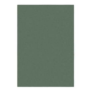 Zöld szőnyeg 200x290 cm – Flair Rugs
