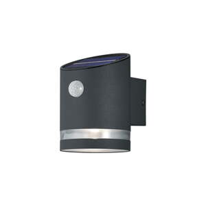 LED kültéri lámpa mozgásérzékelővel (magasság 13 cm) Salta – Trio